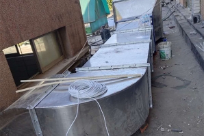 济南水蜜桃一区二区三区加工