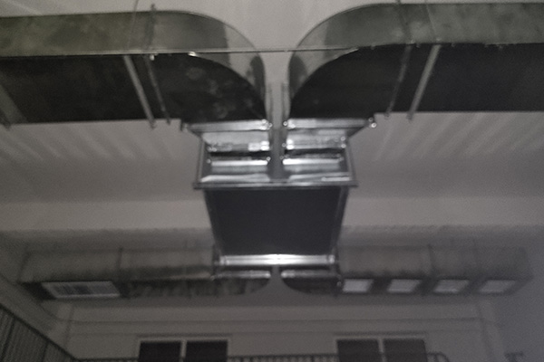 排烟蜜桃视频网站APP