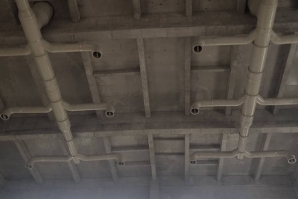 排气蜜桃视频网站APP