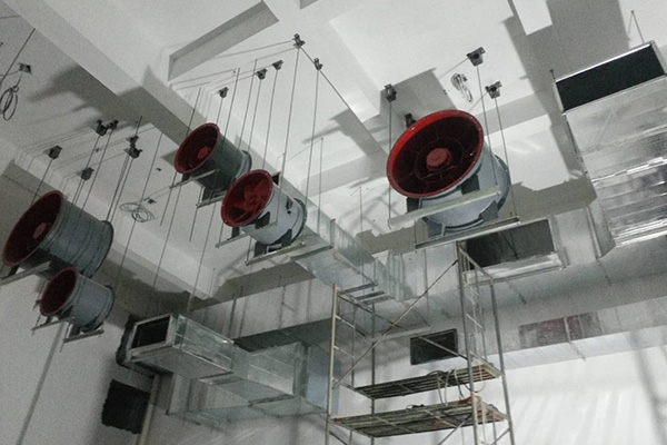 蜜桃视频网站APP