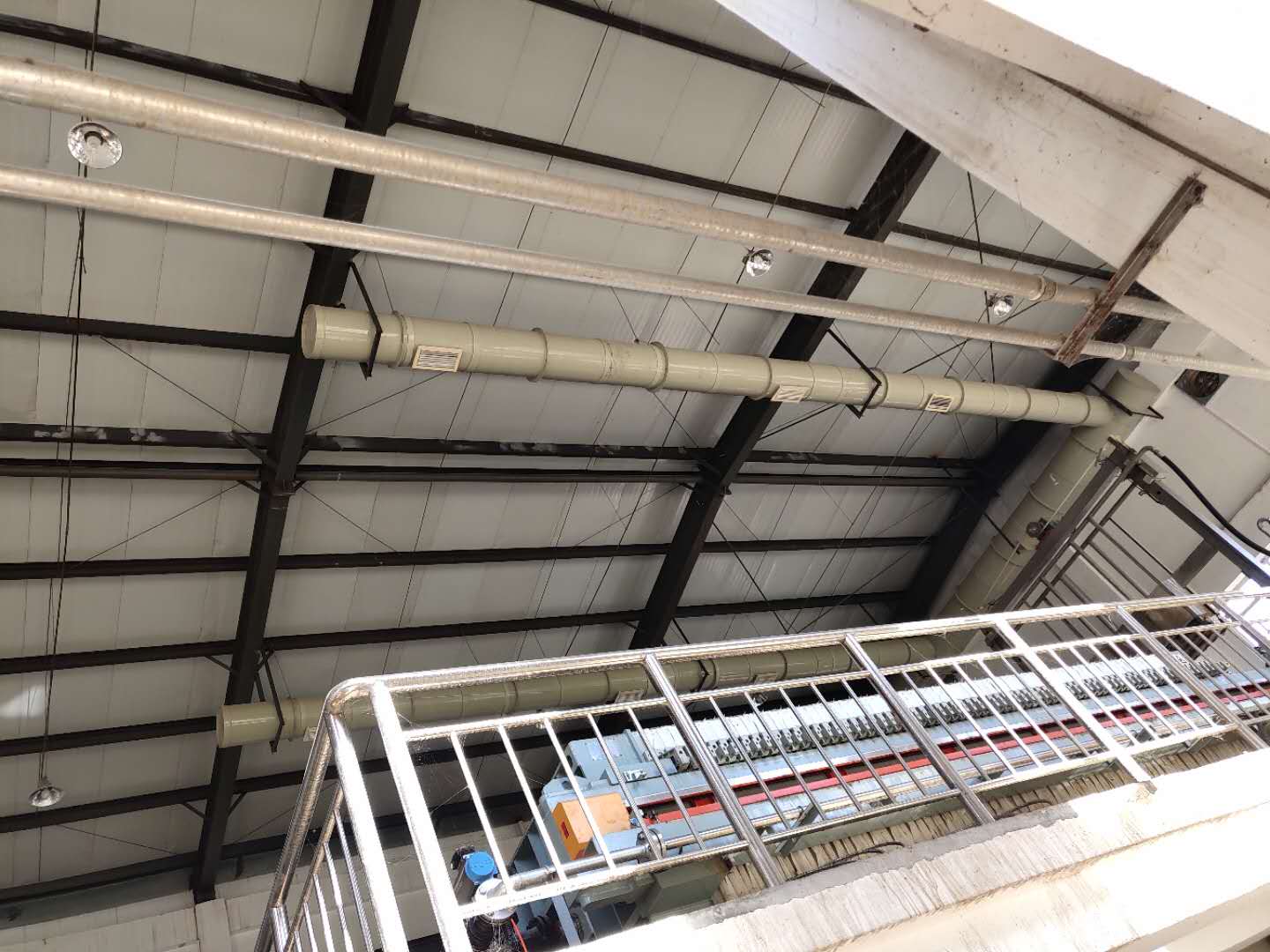 济南蜜桃视频APP污下载