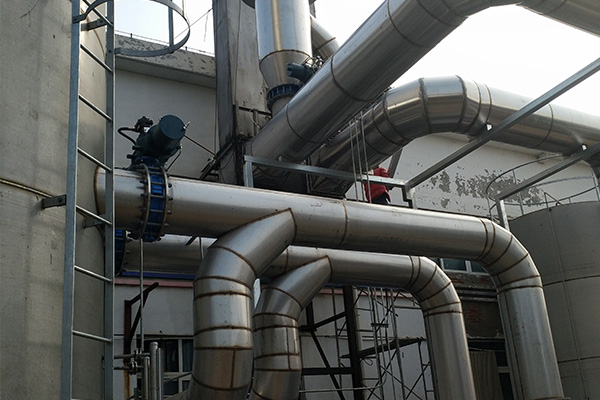 蜜桃视频APP污下载