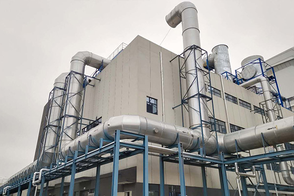 冷库蜜桃视频网站APP